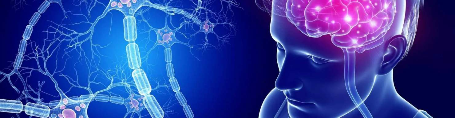 Базовый курс по МРТ основы метода и введение в нейрорадиологию.