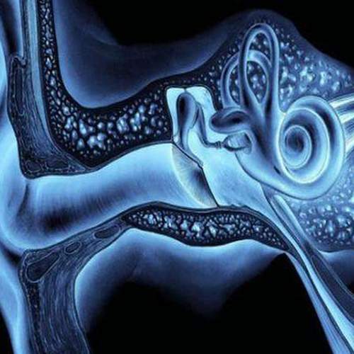 Курс по компьютерной и магнитно-резонансной томографии в диагностике заболеваний уха.